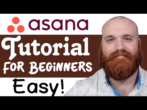 Asana Tutorial For Beginners | How To Use Asana