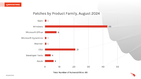 August 2024 Patch Tuesday: Updates and Analysis | CrowdStrike