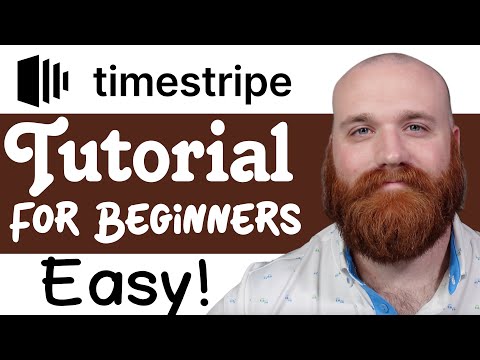 TimeStripe Tutorial For Beginners - How To Use TimeStripe for Productivity