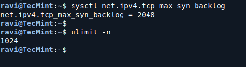 Check Linux TCP Connection Limits