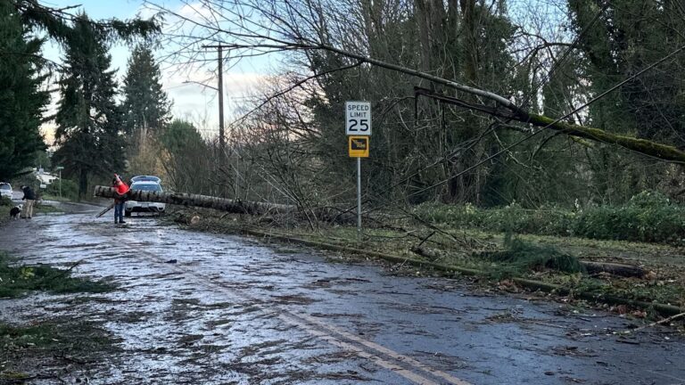 ‘Bomb cyclone’ whips US Northwest, California with intense winds and rain