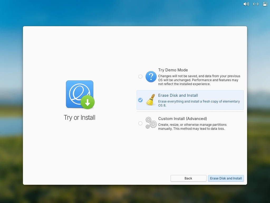 elementary OS Installation Type