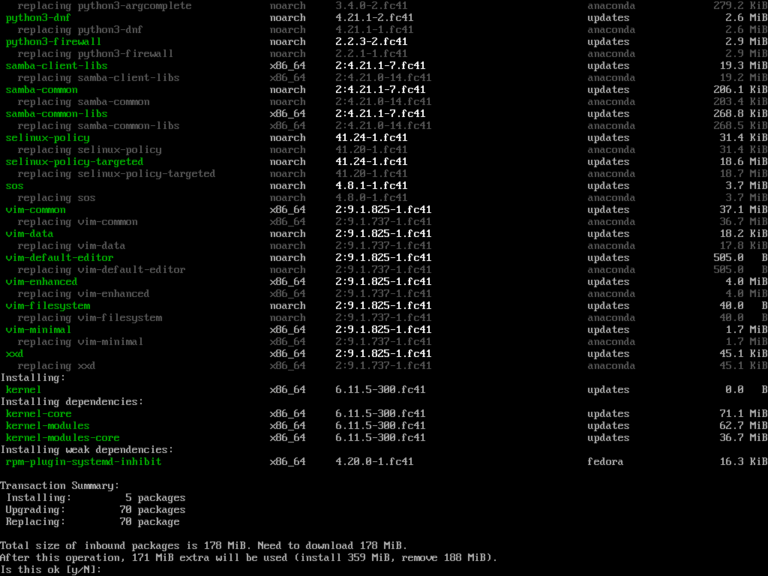 How to Install Fedora 41 Server with Screenshots