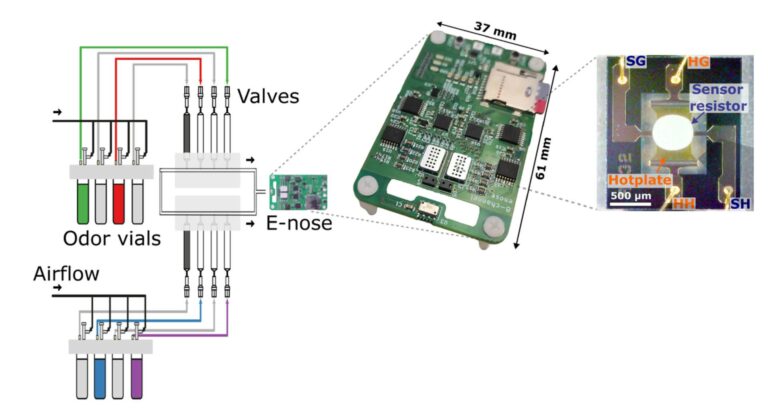 We built a tiny electronic nose that can beat a mouse at its own game