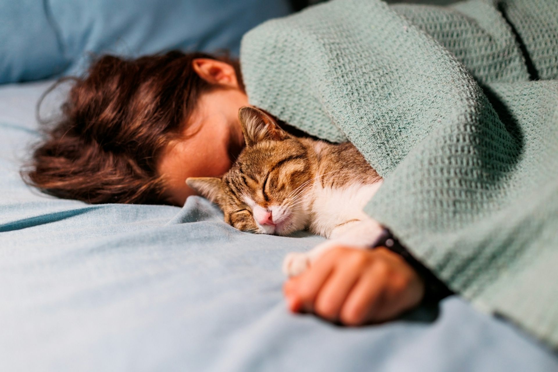 A cat cuddled asleep with a young person under a green blanket.