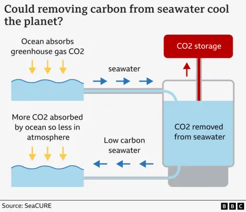 A graphic that shows how the process works to take carbon out of seawater. It explains how the seawater is taken from the sea - sent along pipes and then the low carbon water is delivered back into the ocean. 