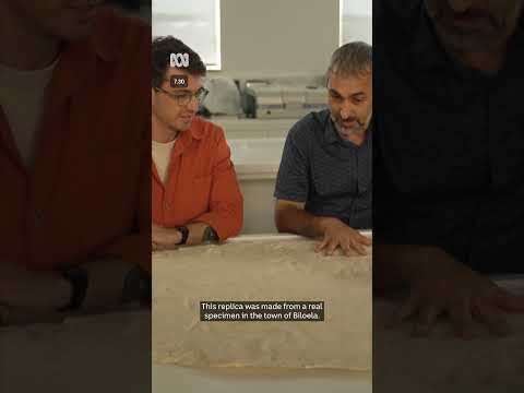 200-million-year-old dinosaur footprints found at school | 7.30