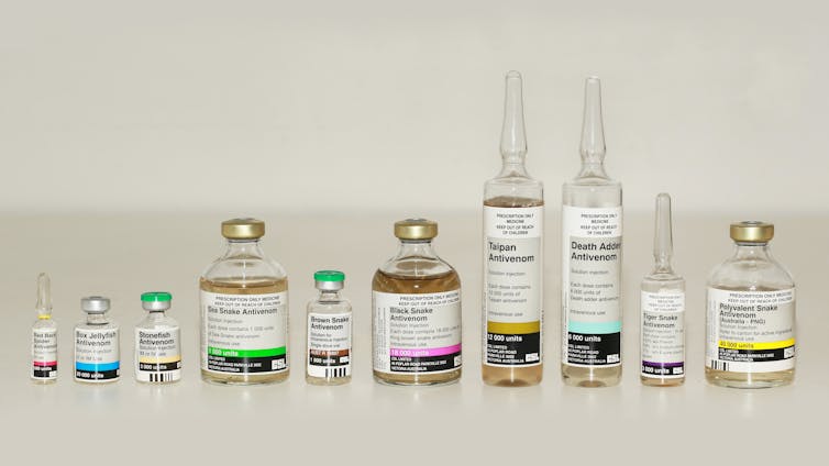 10 glass vials containing liquid, lined up in a horizontal row. All vials are different Australian antivenoms, such as for Red-back Spider, Taipans, and Sea Snakes.