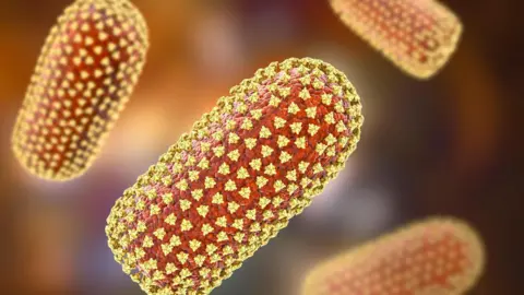 Getty Images Yellow and red visualisation of what the rabies virus looks like under a microscope