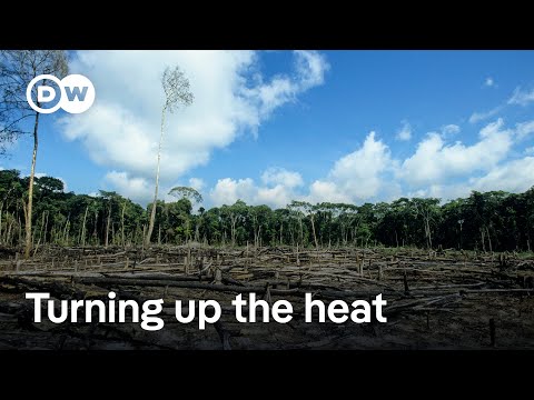 Conflicts threaten action to curb extreme heat | DW News