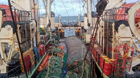 Getty Images A view from the back of a fishing boat, in the centre is a long net held up by a chain and fish can be seen trapped within it. Around the net is the paraphernalia of a fishing vessel with buoys, other nets, drums to the right and containers. The boat is painted cream with green nets, and in the background gulls can be seen flying above the net