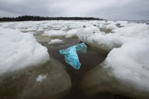 Olivier Morin/AFP/Getty Images A blue plastic bag floats amongst sea ice. The bag is slightly see-through and the water appears almost black with the sea ice below the surface just visible. In the background the shoreline with trees along the edge can be seen. 