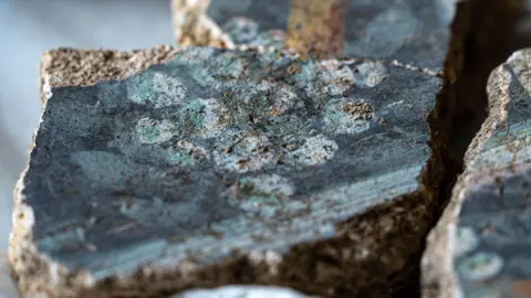 Tony Jolliffe/BBC News Three fragments of plaster with white dots representing mistletoe on a black background on two of the pieces which have been joined together as part of the huge jigsaw puzzle. There's also a white line running across two of the pieces just below the white berries. 