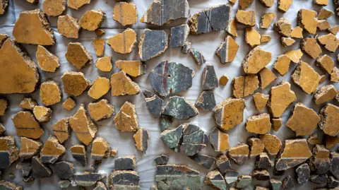 Tony Jolliffe/BBC News Fragments of plaster laid out. There are mainly yellow pieces making up  square panels with darker columns in between with a pale green border. The detail shows a a series of lines with the petals and leaves of flowers amongst them. 