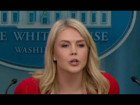 Karoline Leavitt loses patience when confronted again about $400 million jet