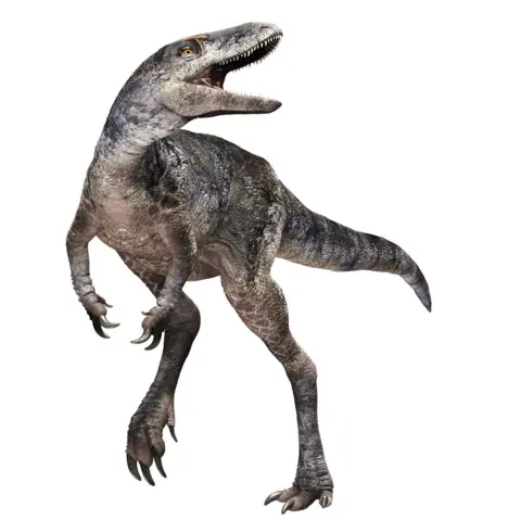 Masato Hattori The image shows a detailed artist's impression of a carnivorous dinosaur that has been named Khankhuuluu mongoliensis. It is upright on hindlegs with much shorter, smaller forelimbs and long claws. It has a large, quite elongated head and sharp teeth that it is displaying. 