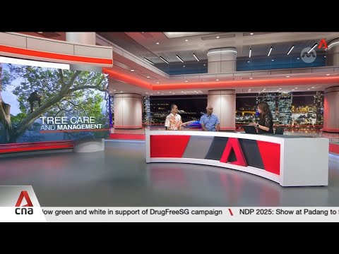 NUS Prof Veera Sekaran and NTU's Dr Shawn Lum on code of practice for pruning tropical trees