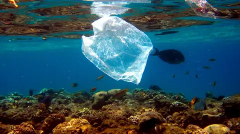 EPA A clear plastic bag floats underwater with fish swimming in the background and a coral reef below