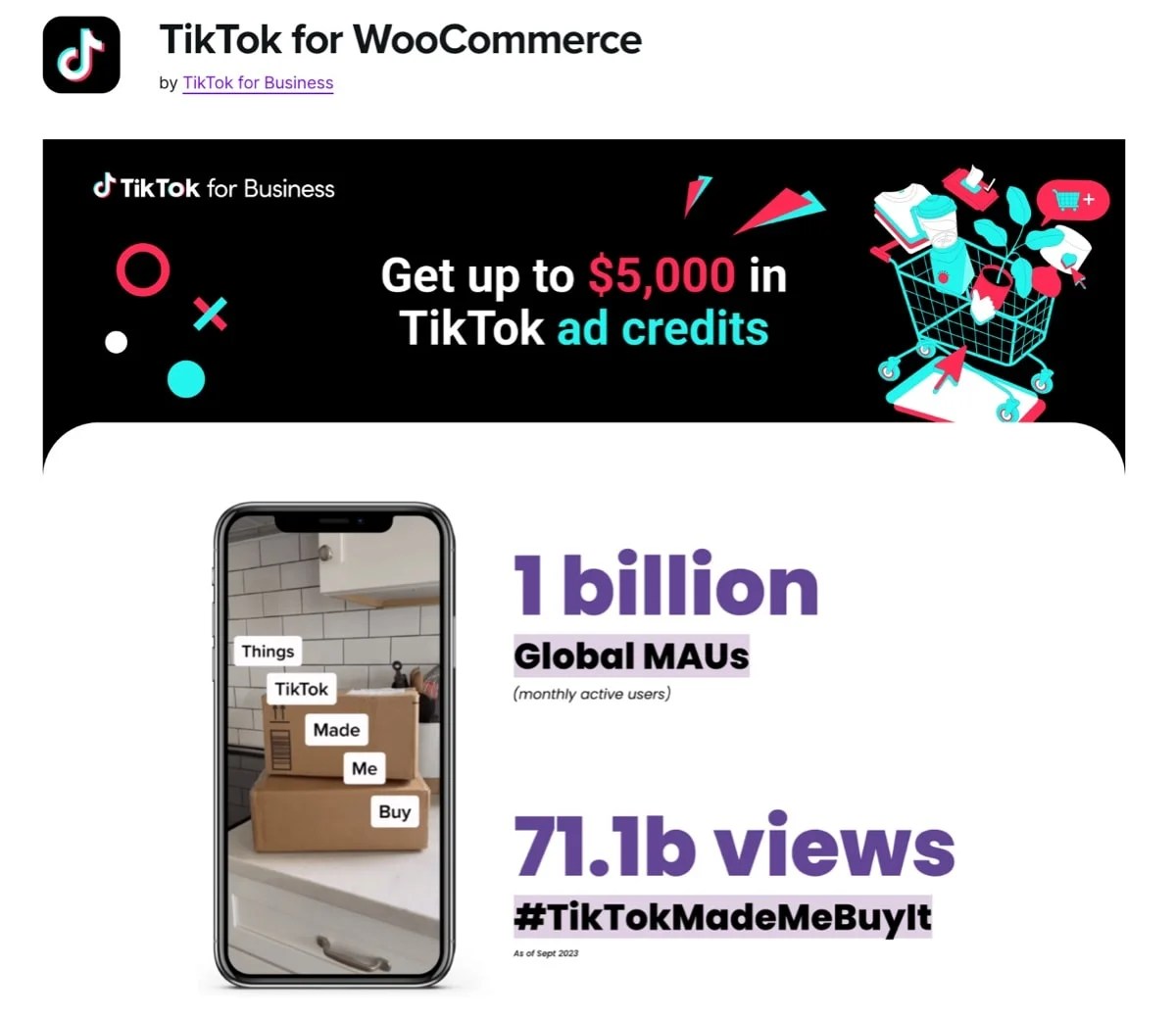 TikTok. for WooCommerce extension