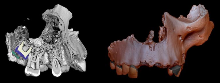 Scientists could be accidentally damaging fossils with a method we thought was safe