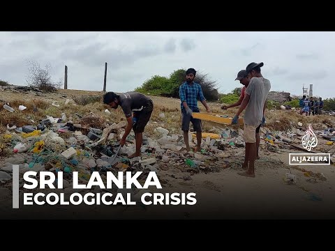 Sri Lanka faces new ecological crisis as MSC Elsa 3 debris spreads