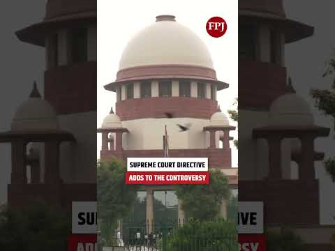 Dog Lover Frees Stray Dogs from MCD Animal Ambulance — Video Triggers Heated Debate Online