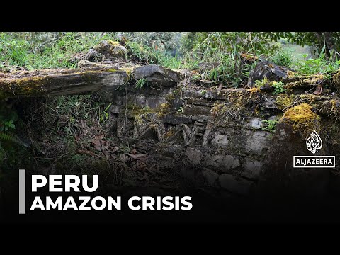 Peru’s Amazon under threat: Industry blamed for massive land loss