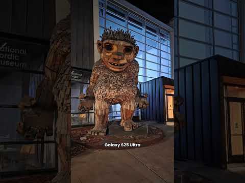 Photo Comparison: Google Pixel 10 Pro XL vs. Galaxy S25 Ultra