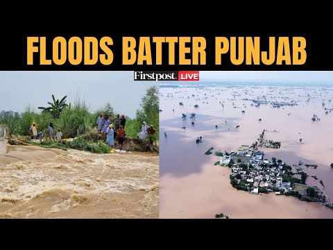Punjab Floods LIVE: Heavy Rains Trigger Flash Floods in Punjab, Army Chopper Rescues CRPF Personnel