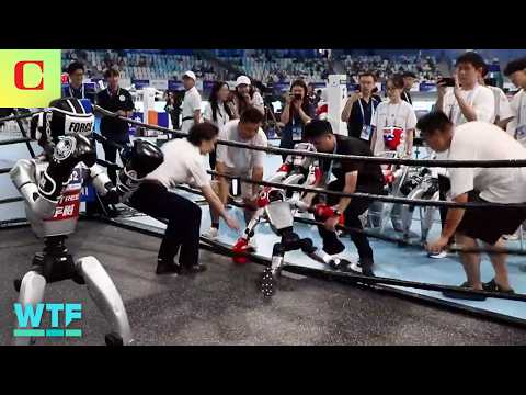 Robot WINS & FAILS from China's World Humanoid Robot Games