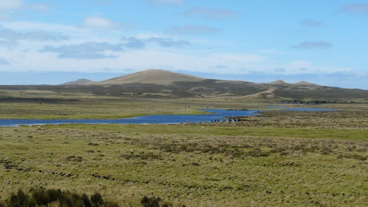 A view across a landscape, with hills in the background, on Rēkohu.