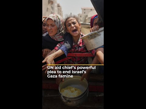 UN aid chief’s powerful plea to end Israel’s Gaza famine | #ajshorts