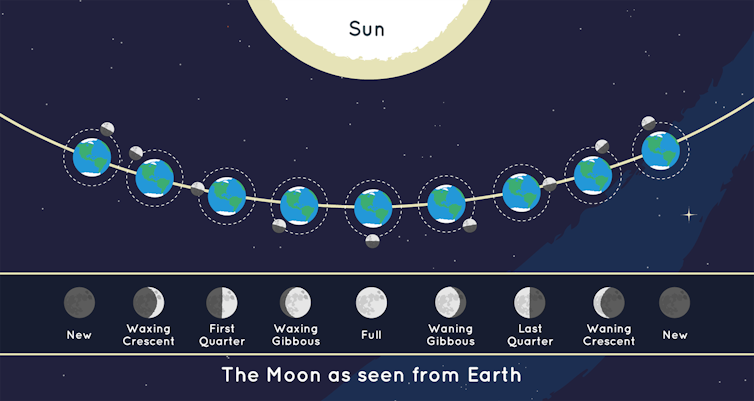 A graphic showing the Sun at the top and the Earth repeated in an arc at the bottom. The Moon is at a different position next to each repeated Earth. The illumination of the Earth relative to the Sun is shown, and the corresponding Moon phase is shown at