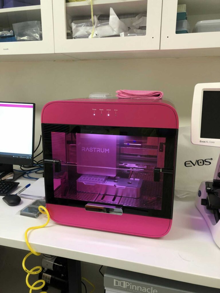 3D printed mini-placentas offer a new way to study pregnancy complications