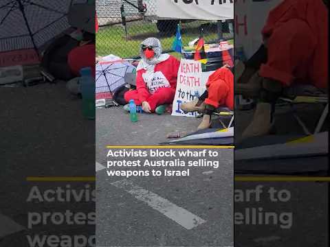 Activists block Melbourne wharf to protest sale of weapons to Israel | AJ #shorts