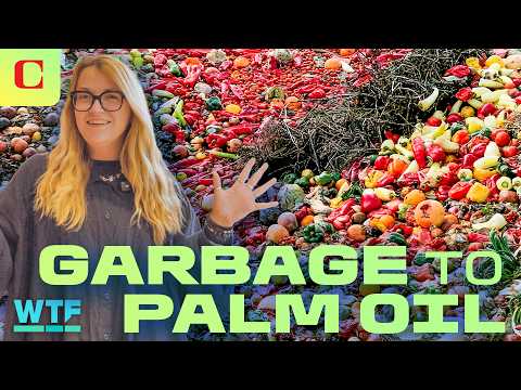 Food Made From Garbage Is Here – and It Could Save the Planet