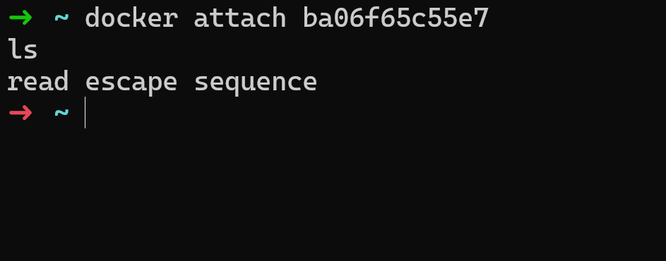 Attach docker container (ssh into docker)