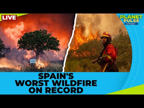 LIVE: Over 400,000 Hectares Burned in Spain’s 2025 Wildfire Crisis | Planet Pulse | N18G