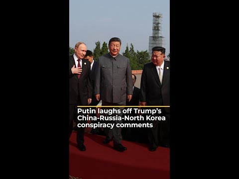 Putin waves off Trump’s Russia-China-North Korean conspiracy comments | #ajshorts
