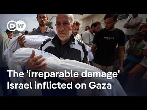 'There will never, never be a safe space in Gaza again – even after the war is over' | DW News