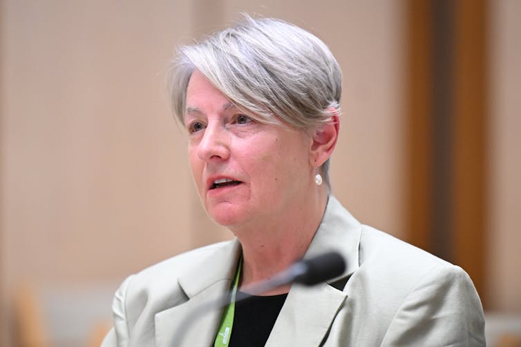 A grey-haired woman speaks into a small microphone