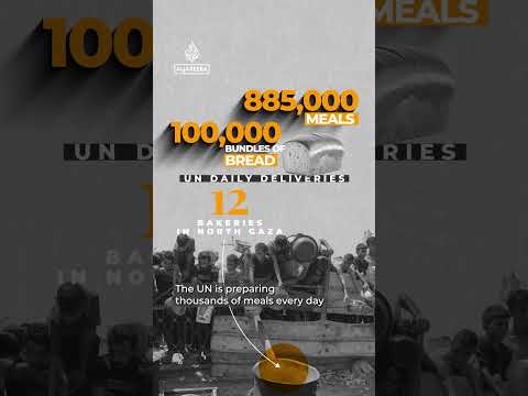 Can the catastrophe in Gaza be reversed? | By the Numbers