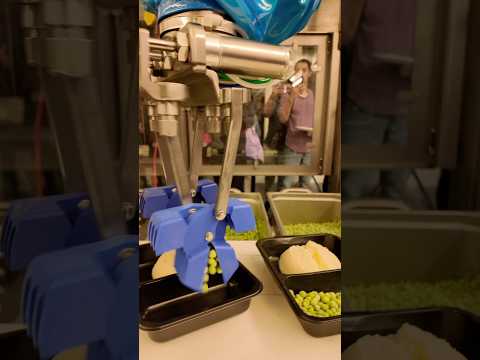 Chef Robotics: Meet the Robots Making Your Meals