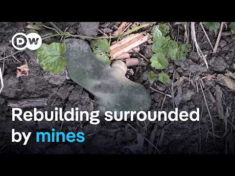Living with deadly landmine dangers in Ukraine's liberated territories | DW News