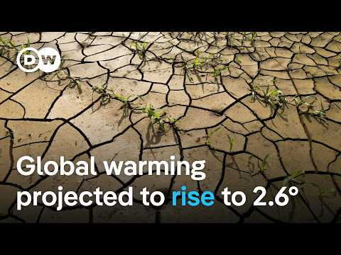 Report: More dangerously hot days in the cards by end of century | DW News