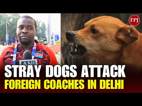Stray Dogs Attack on International Coaches Spark Major Controversy in Delhi