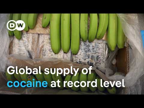 Europe sees a rise of narcotics shipments from Latin America | DW News