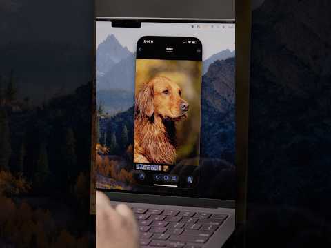 This “Hidden” iPhone Feature is The Best Way to Transfer Files and Photos