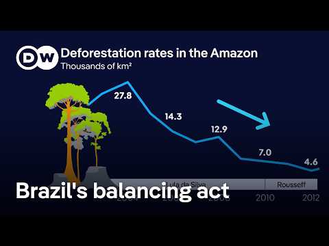 What kind of climate player is Brazil really? | DW News