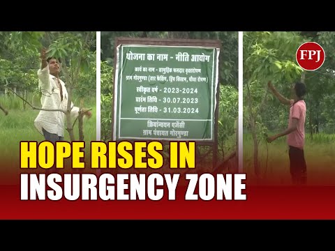 From Insurgency to Income: Sukma’s ‘Aam Bagicha Project’ Transforms Lives